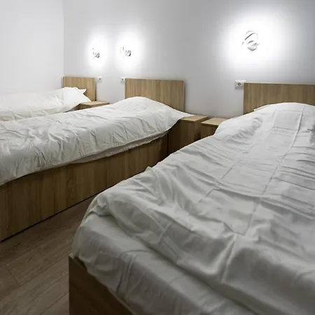 Homestay Pensiunea Aries