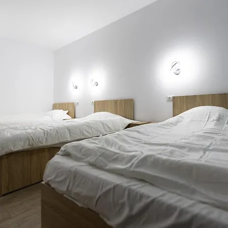 Homestay Pensiunea Aries *